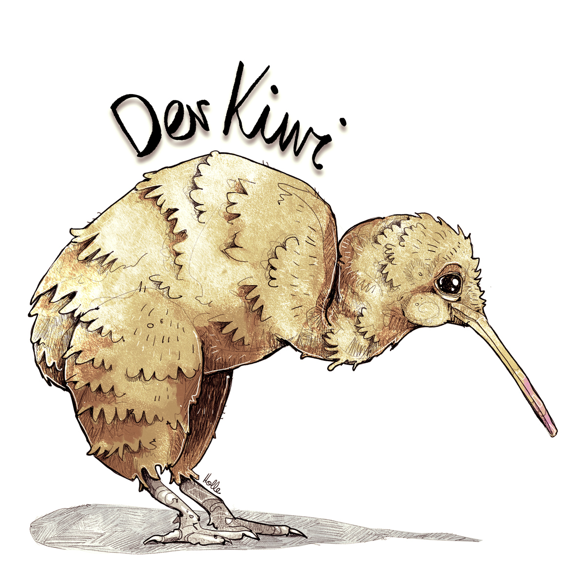Kiwi Vogel