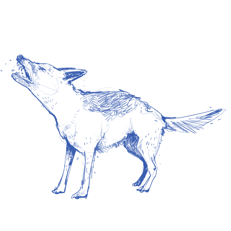 Theaterillustration Marianengraben