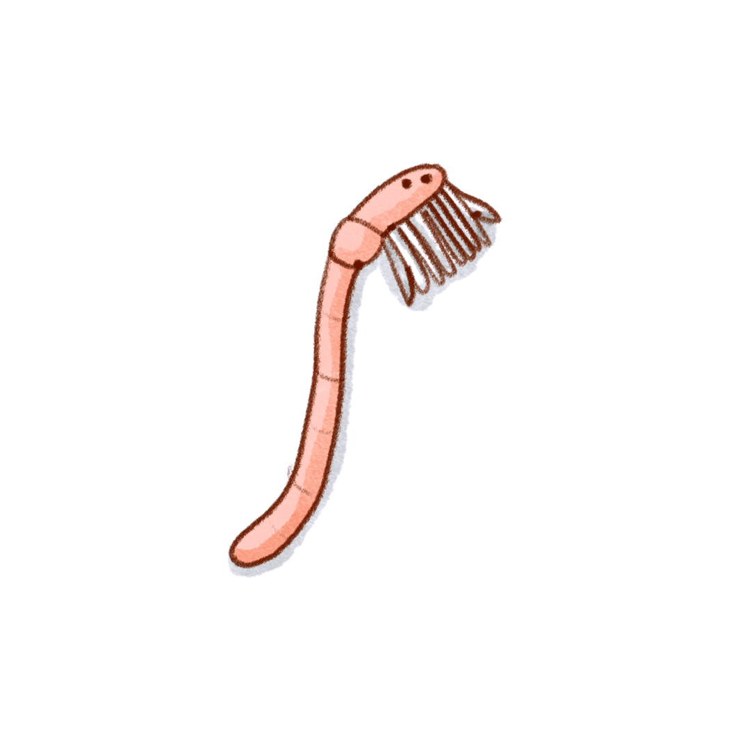 Zahnputzwurm